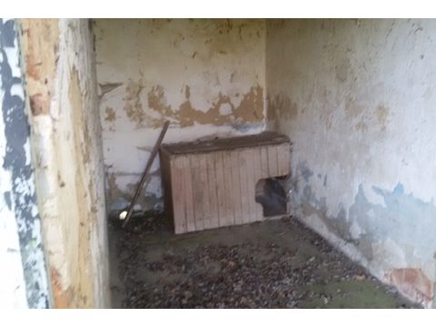 Foto 33